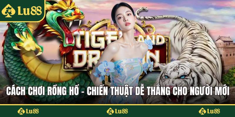 Cách chơi rồng hổ
